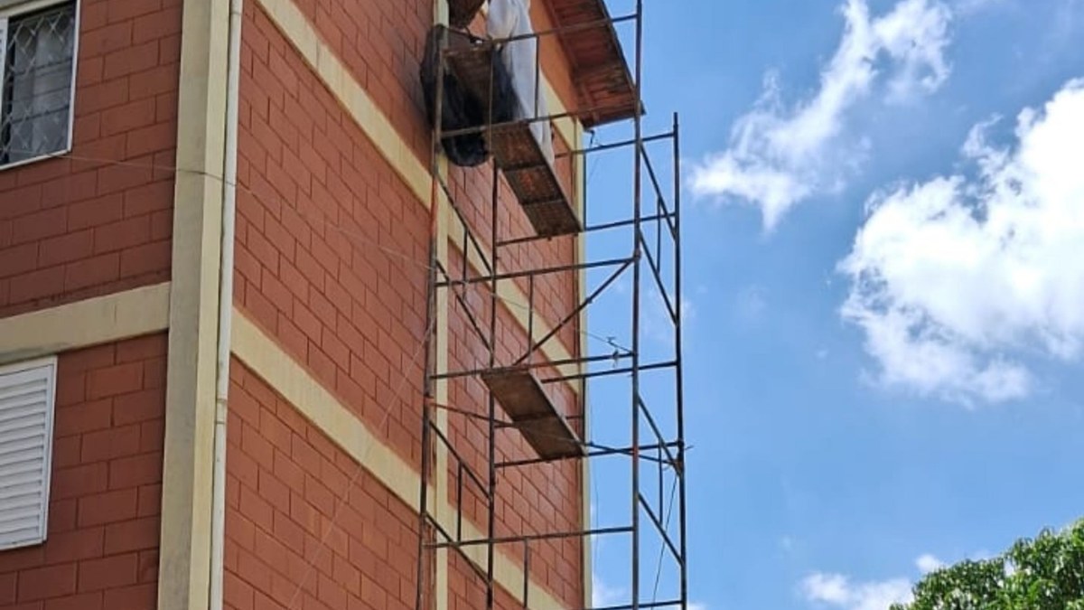 Atendimento de abelhas em condomínio em Campinas